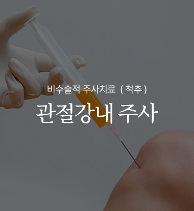 관절강내 주사